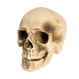 Dekoracija lubanja Halloween s pokretnom čeljusti